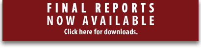 Final Reports Now Available